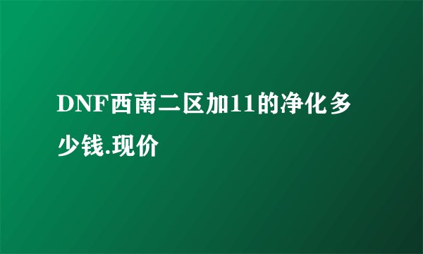 DNF西南二区加11的净化多少钱.现价
