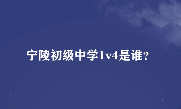 宁陵初级中学1v4是谁?