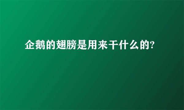 企鹅的翅膀是用来干什么的?