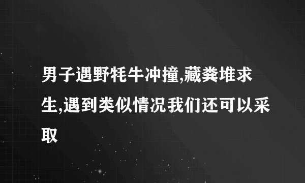 男子遇野牦牛冲撞,藏粪堆求生,遇到类似情况我们还可以采取