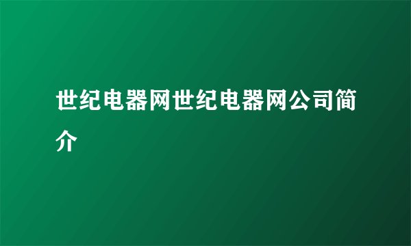 世纪电器网世纪电器网公司简介