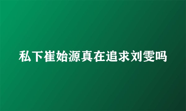 私下崔始源真在追求刘雯吗