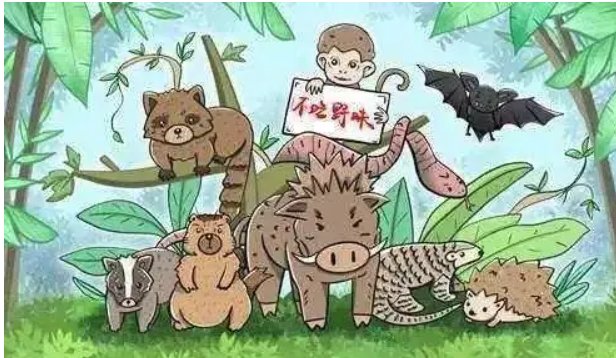 国家二级保护动物中国瘰螈10元一条当街卖，售卖人到底犯了哪些罪？