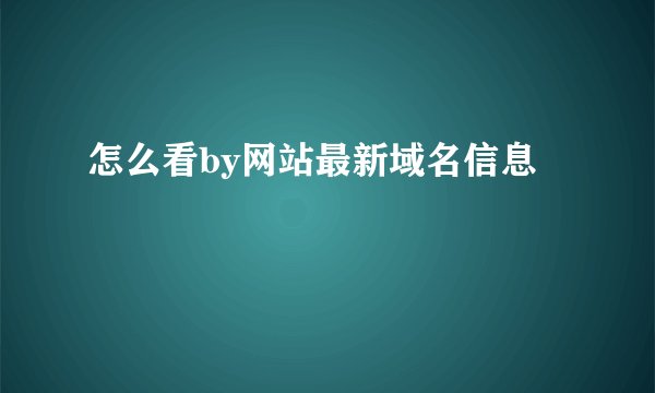 怎么看by网站最新域名信息
