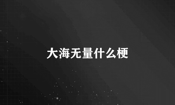 大海无量什么梗