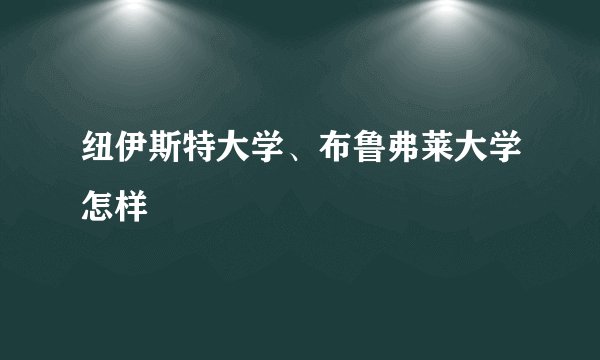 纽伊斯特大学、布鲁弗莱大学怎样