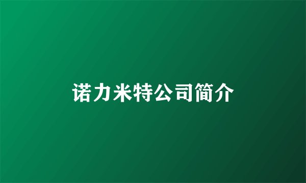 诺力米特公司简介