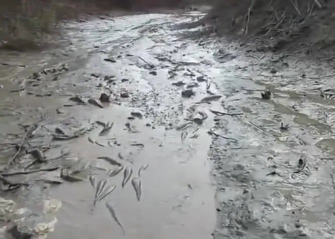 湖南97个县市区达到特旱，河床裸露，鱼被晒成鱼干，会带来哪些影响？