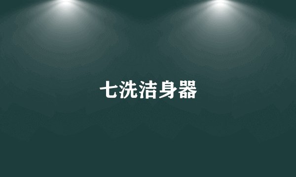 七洗洁身器