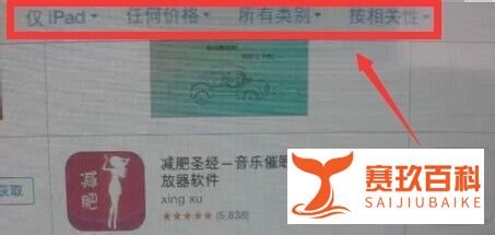 怎样在Ipad mini上下载软件
