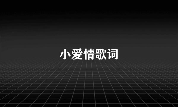 小爱情歌词