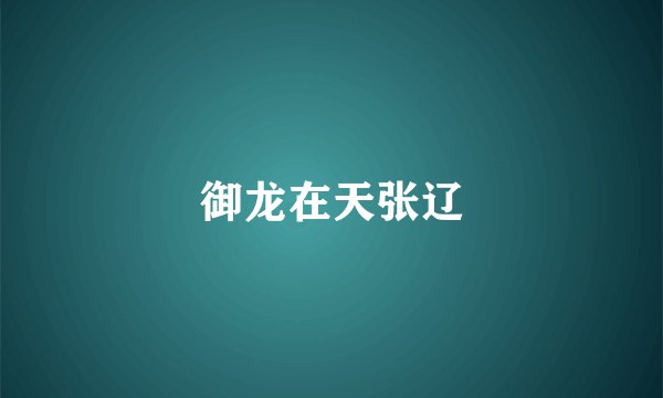 御龙在天张辽