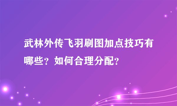 武林外传飞羽刷图加点技巧有哪些？如何合理分配？