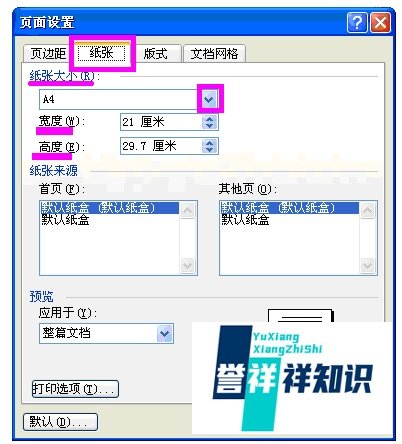 Microsoft word2003中怎样进行页面设置?