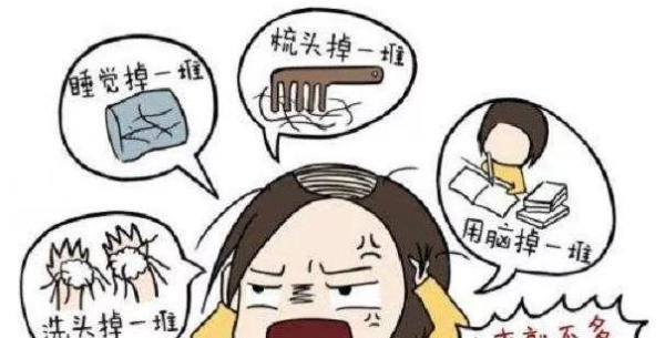 头皮比地皮贵，900万/每平方米的头发您“脱”得起吗？