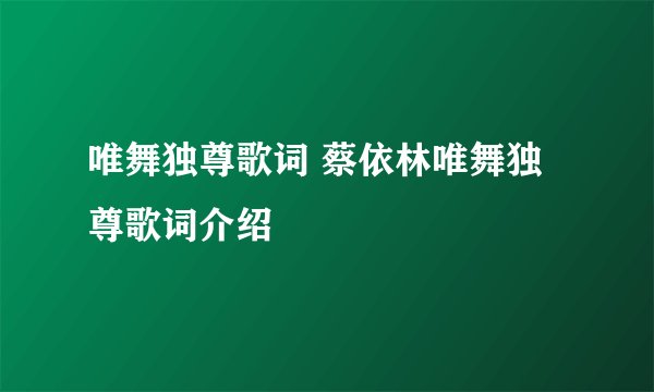 唯舞独尊歌词 蔡依林唯舞独尊歌词介绍