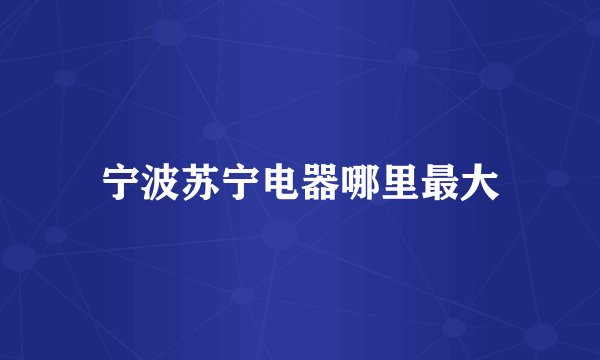 宁波苏宁电器哪里最大
