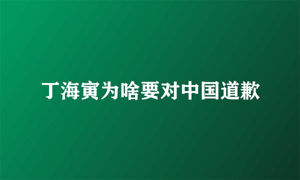 丁海寅为啥要对中国道歉