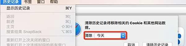 safari地址栏无法搜索