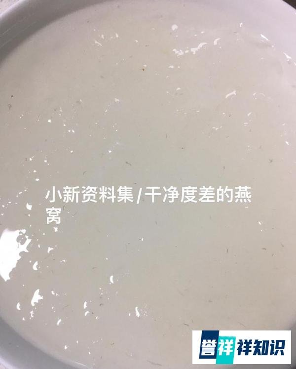 买燕窝要注意什么？燕窝哪里买比较真？买燕窝应该注意哪些问题