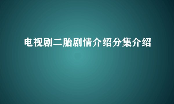 电视剧二胎剧情介绍分集介绍