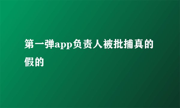 第一弹app负责人被批捕真的假的