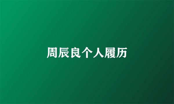 周辰良个人履历