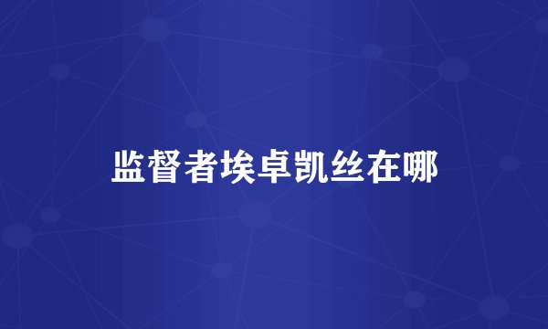 监督者埃卓凯丝在哪