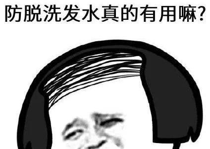 头皮比地皮贵，900万/每平方米的头发您“脱”得起吗？