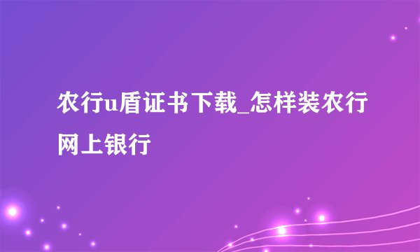 农行u盾证书下载_怎样装农行网上银行