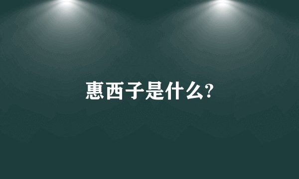 惠西子是什么?