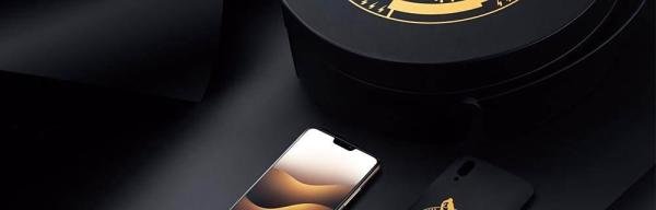 vivox21普通版与vivoxUD版有什么区别?