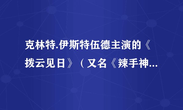 克林特.伊斯特伍德主演的《拨云见日》（又名《辣手神探勇劲冲天》）的在线观看地址或下载地址