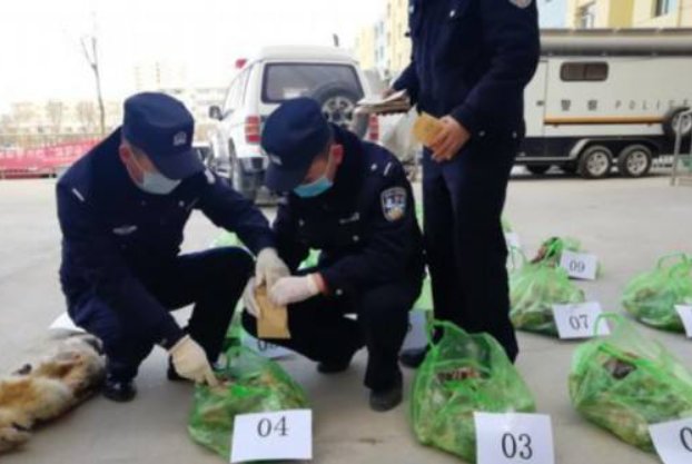 国家二级保护动物中国瘰螈10元一条当街卖，售卖人到底犯了哪些罪？