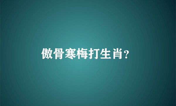 傲骨寒梅打生肖？