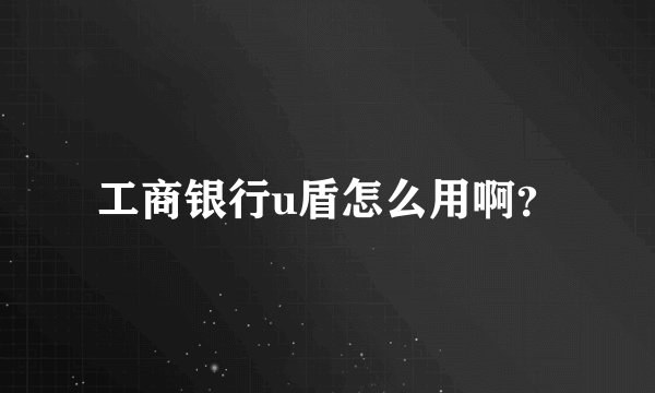 工商银行u盾怎么用啊？