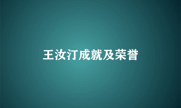 王汝汀成就及荣誉