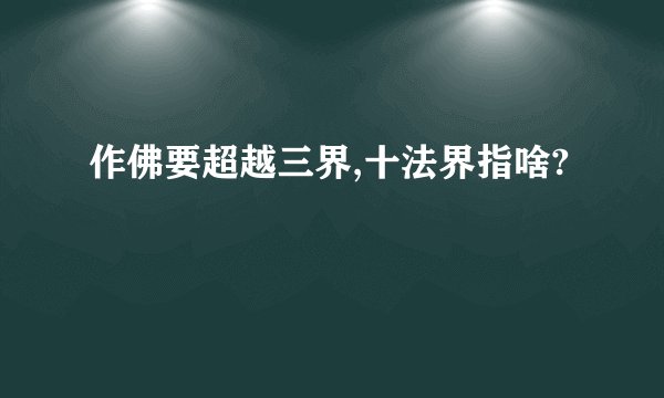 作佛要超越三界,十法界指啥?