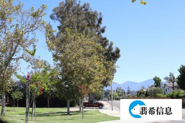 寻找出路