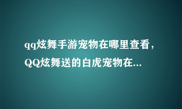 qq炫舞手游宠物在哪里查看，QQ炫舞送的白虎宠物在哪里能看到