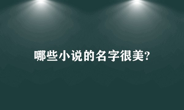 哪些小说的名字很美?