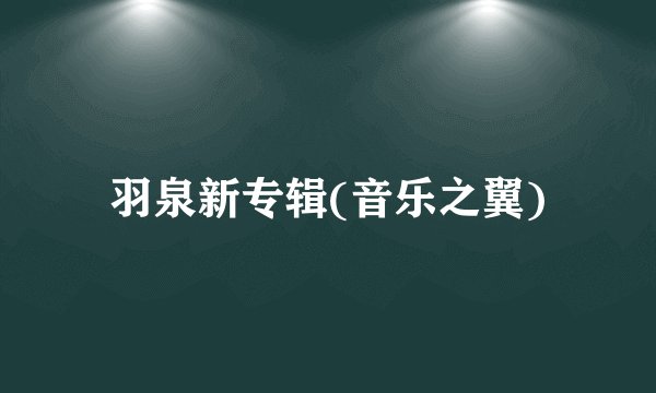 羽泉新专辑(音乐之翼)
