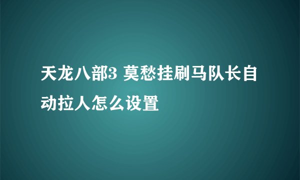 天龙八部3 莫愁挂刷马队长自动拉人怎么设置