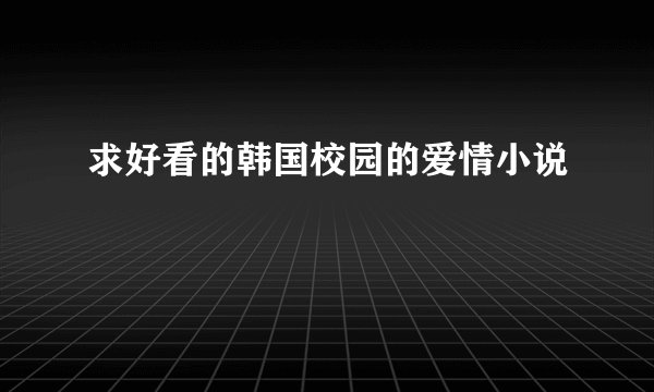 求好看的韩国校园的爱情小说