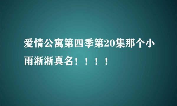 爱情公寓第四季第20集那个小雨淅淅真名！！！！