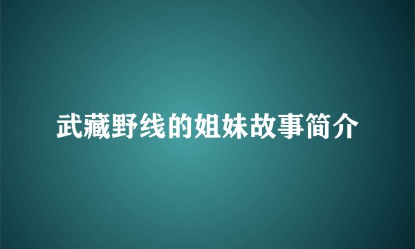 武藏野线的姐妹故事简介