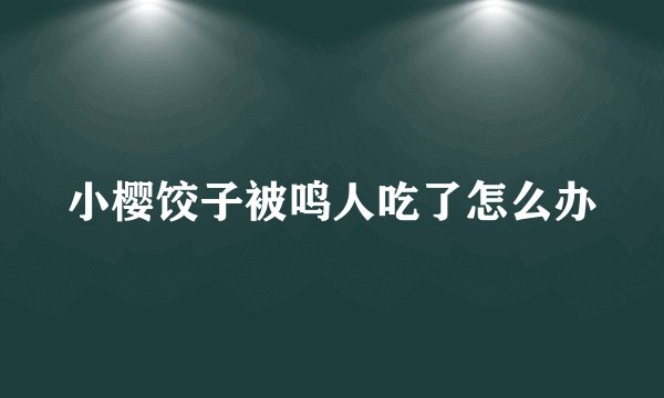 小樱饺子被鸣人吃了怎么办