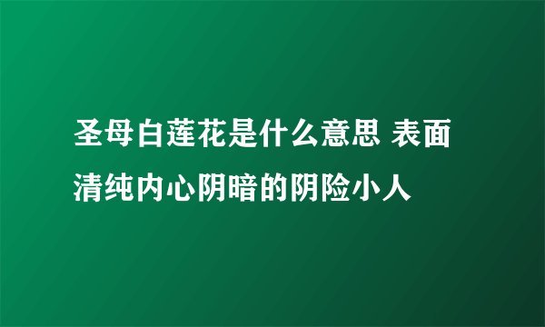 圣母白莲花是什么意思 表面清纯内心阴暗的阴险小人