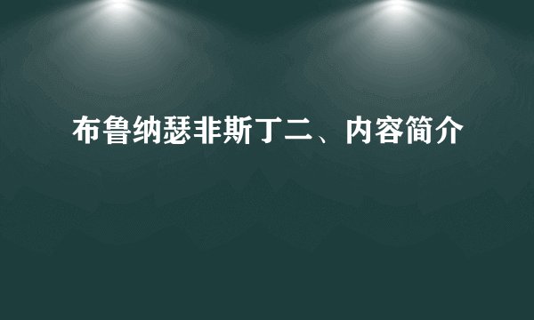 布鲁纳瑟非斯丁二、内容简介