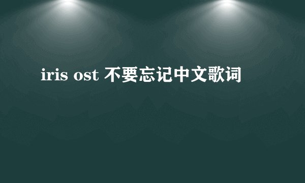 iris ost 不要忘记中文歌词